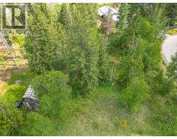 Lot 1 Malakwa Road, Malakwa, BC V0E2J0 Photo 9