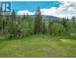 Lot 1 Malakwa Road, Malakwa, BC V0E2J0 Photo 20