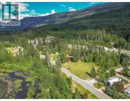 Lot 1 Malakwa Road, Malakwa, BC V0E2J0 Photo 18