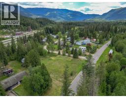 Lot 1 Malakwa Road, Malakwa, BC V0E2J0 Photo 16