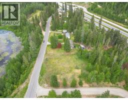 Lot 1 Malakwa Road, Malakwa, BC V0E2J0 Photo 12