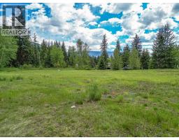 Lot 1 Malakwa Road, Malakwa, BC V0E2J0 Photo 21