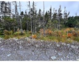 65A Connors Cove Road thumbnail 9