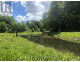 244 11th Concession Road, Norfolk, ON N0E1G0 Photo 47