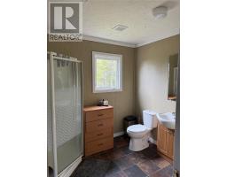 107 Mobile First Pond Road, Mobile, NL A0A3A0 Photo 19