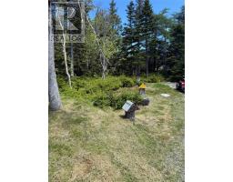 107 Mobile First Pond Road, Mobile, NL A0A3A0 Photo 7