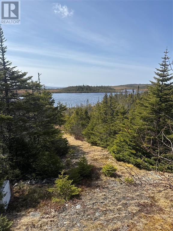 135 Nine Mile Road - 19