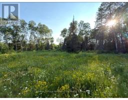 461 Alderdale Road, Chisholm, ON P0H1B0 Photo 9
