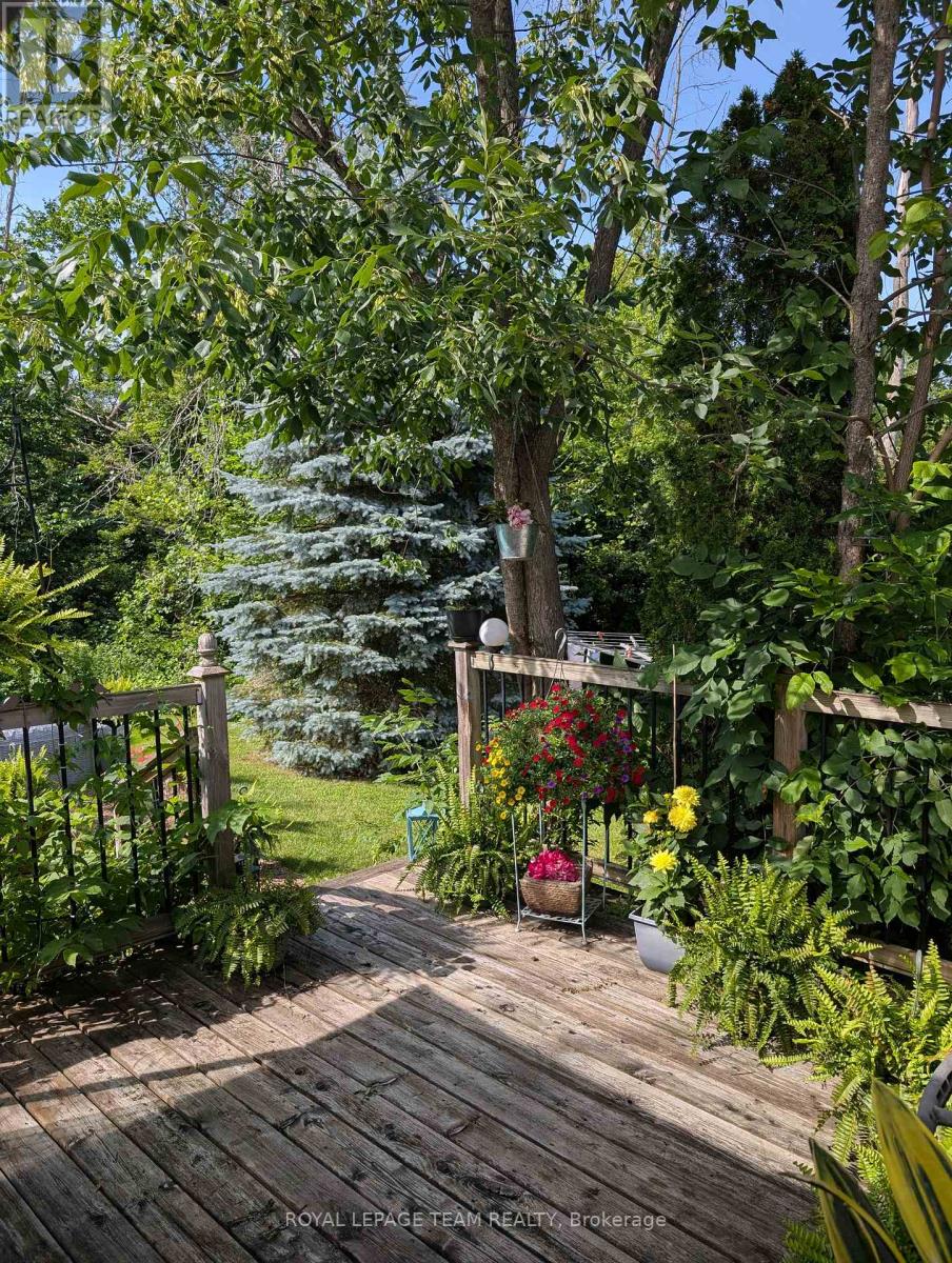 4 BLACK WALNUT ROAD - 31