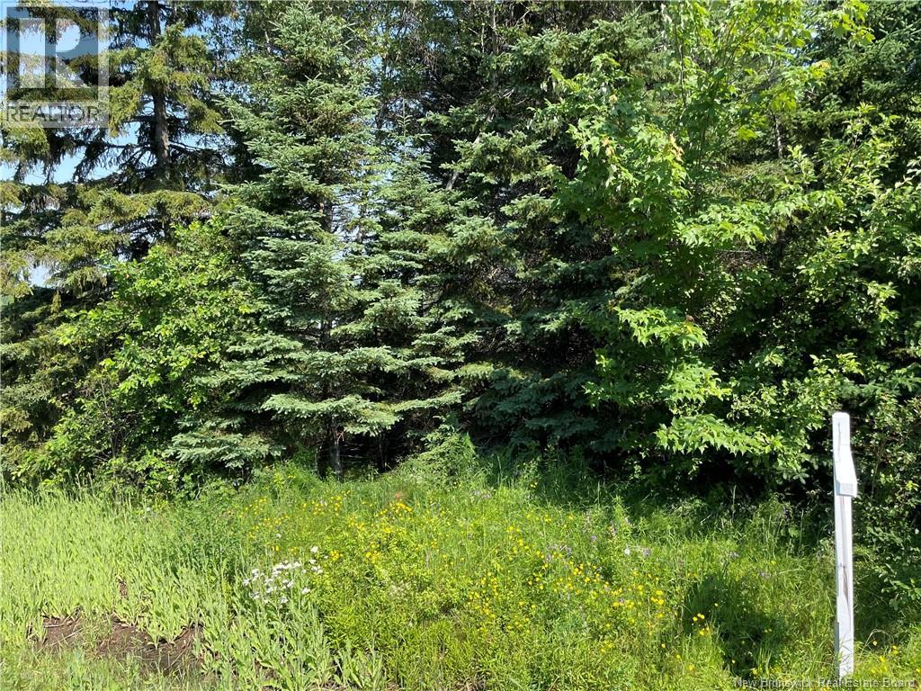 Lot 1 Communication Road, Irishtown — photo 2