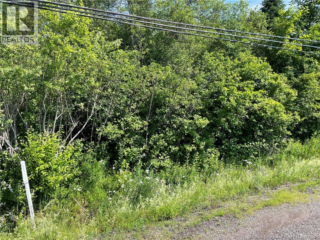 Lot 3 Communication Road, Irishtown — photo 2