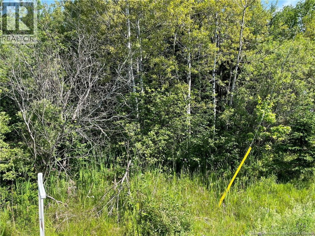 Lot 2 Communication Road, Irishtown — photo 2