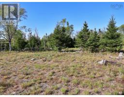 9054 East Bay Highway, Middle Cape, NS B1J2A4 Photo 26