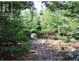 9054 East Bay Highway, Middle Cape, NS B1J2A4 Photo 30