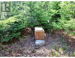 9054 East Bay Highway, Middle Cape, NS B1J2A4 Photo 31
