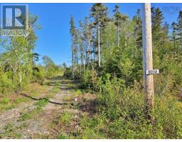 9054 East Bay Highway, Middle Cape, NS B1J2A4 Photo 23