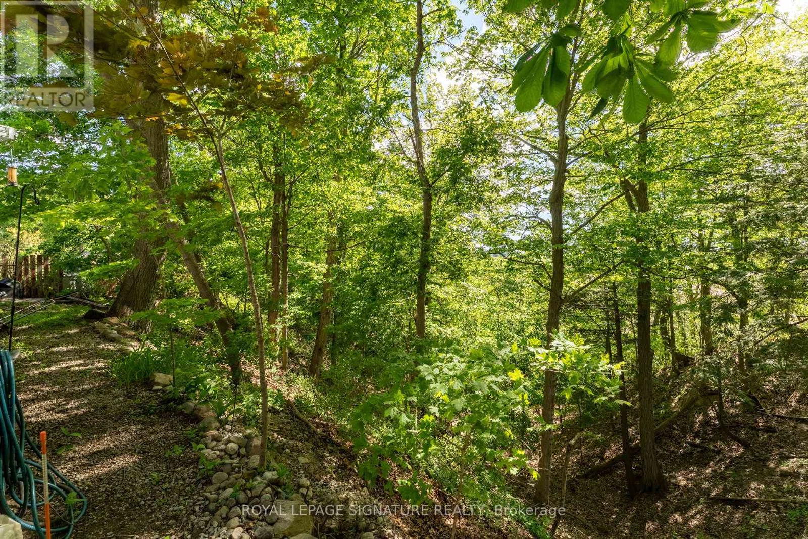 429 ROUGE HILLS DRIVE - 26