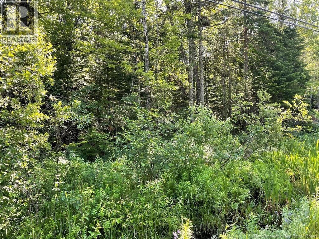 Lot 1 Route 490, McQuade — photo 2