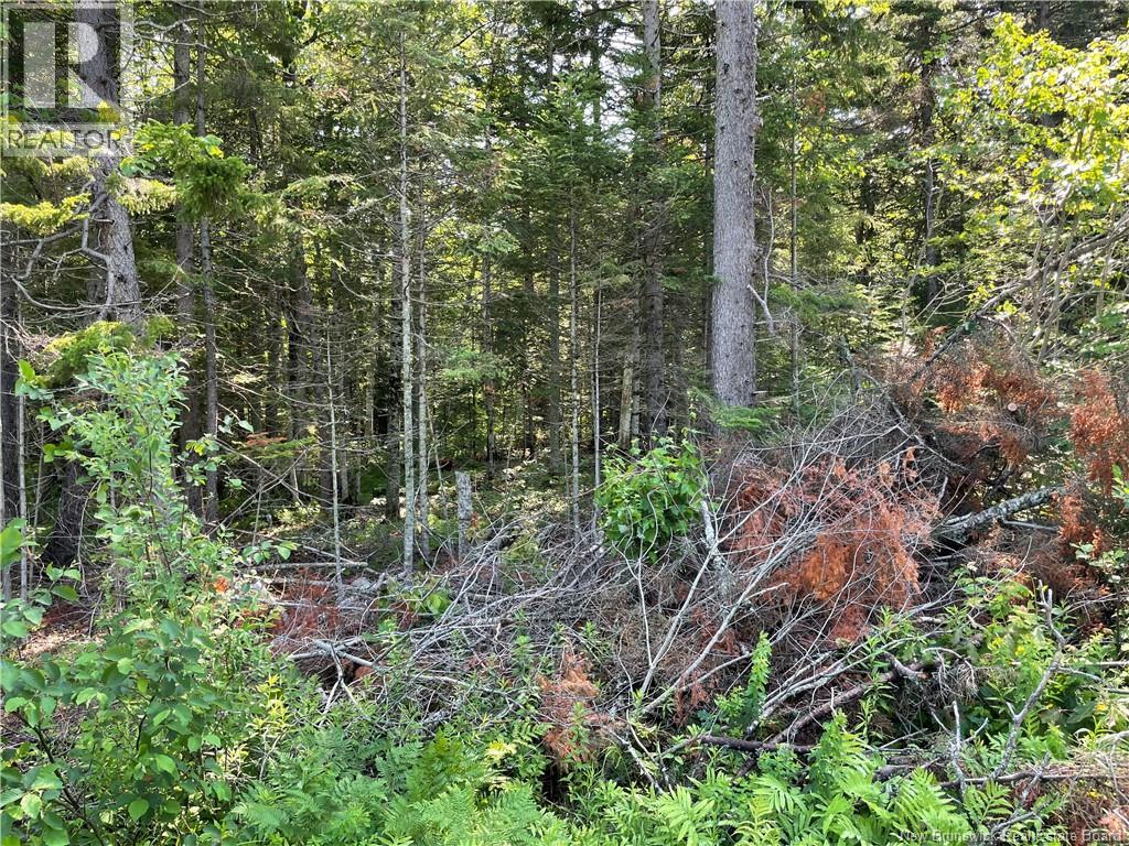 Lot 2 Route 490, McQuade — photo 2