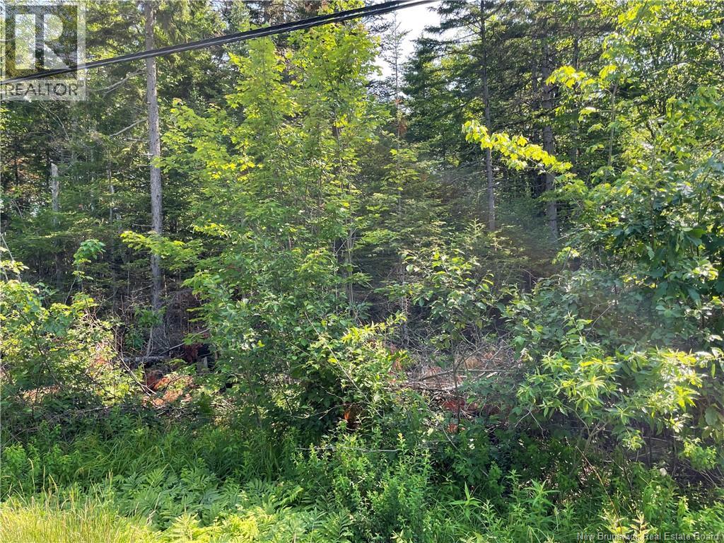 Lot 3 Route 490, McQuade — photo 2