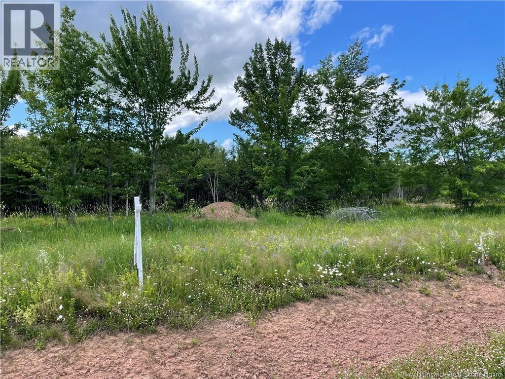 Lot 21-4 Fawcett Avenue, Petitcodiac — photo 2