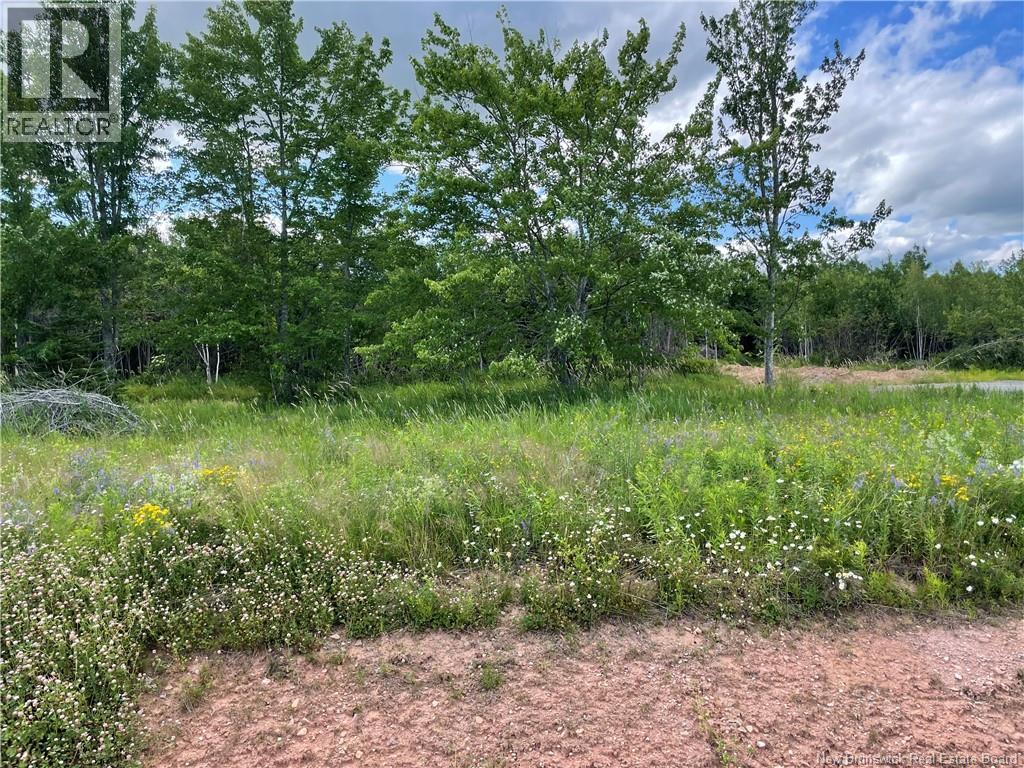 Lot 21-5 Fawcett Avenue, Petitcodiac — photo 2
