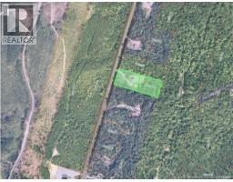 82 Belanger Road, Saint Arthur, NB E3N5P1 Photo 36