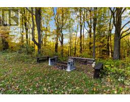 3476 Garden Of Eden Road, Clearview, ON L0M1G0 Photo 45