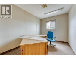 1555 Kildare Road, Windsor, ON N8W2W3 Photo 43