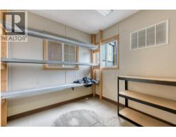 1555 Kildare Road, Windsor, ON N8W2W3 Photo 47