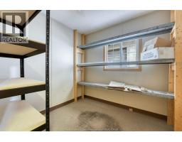 1555 Kildare Road, Windsor, ON N8W2W3 Photo 45