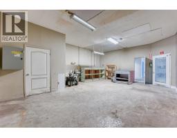 1555 Kildare Road, Windsor, ON N8W2W3 Photo 34