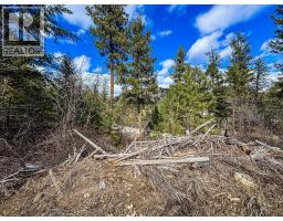 Dl 862 3 Highway, Rock Creek, BC V0H1Y0 Photo 22