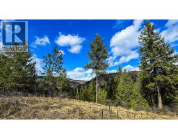 Dl 862 3 Highway, Rock Creek, BC V0H1Y0 Photo 16