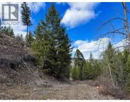 Dl 862 3 Highway, Rock Creek, BC V0H1Y0 Photo 19