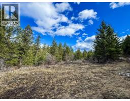 Dl 862 3 Highway, Rock Creek, BC V0H1Y0 Photo 21