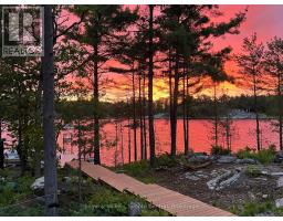 736 2190 Island, Georgian Bay, ON P0E1E0 Photo 6