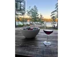 736 2190 Island, Georgian Bay, ON P0E1E0 Photo 30