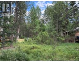 Ridge Way Lot# 114, Windermere, BC V0A1K3 Photo 8