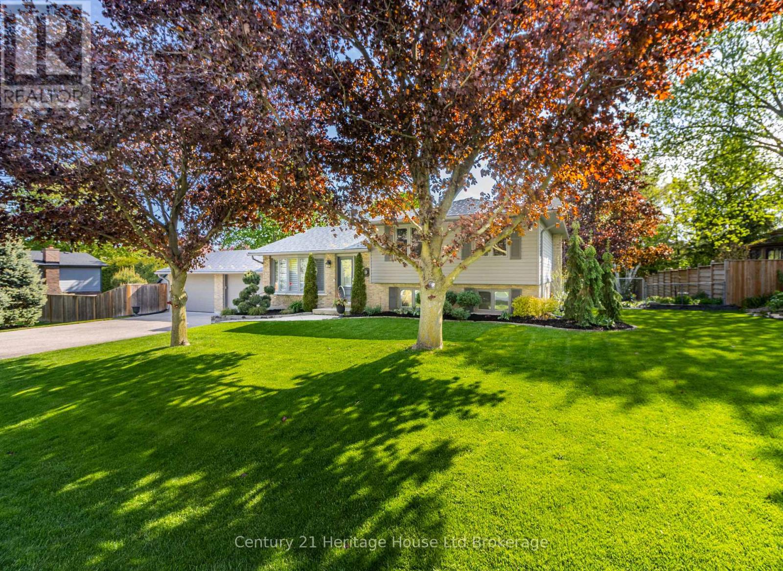 11 MILLARD STREET - 6