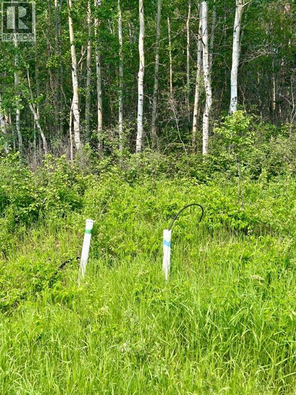67325 Churchill Park Road, Lac La Biche