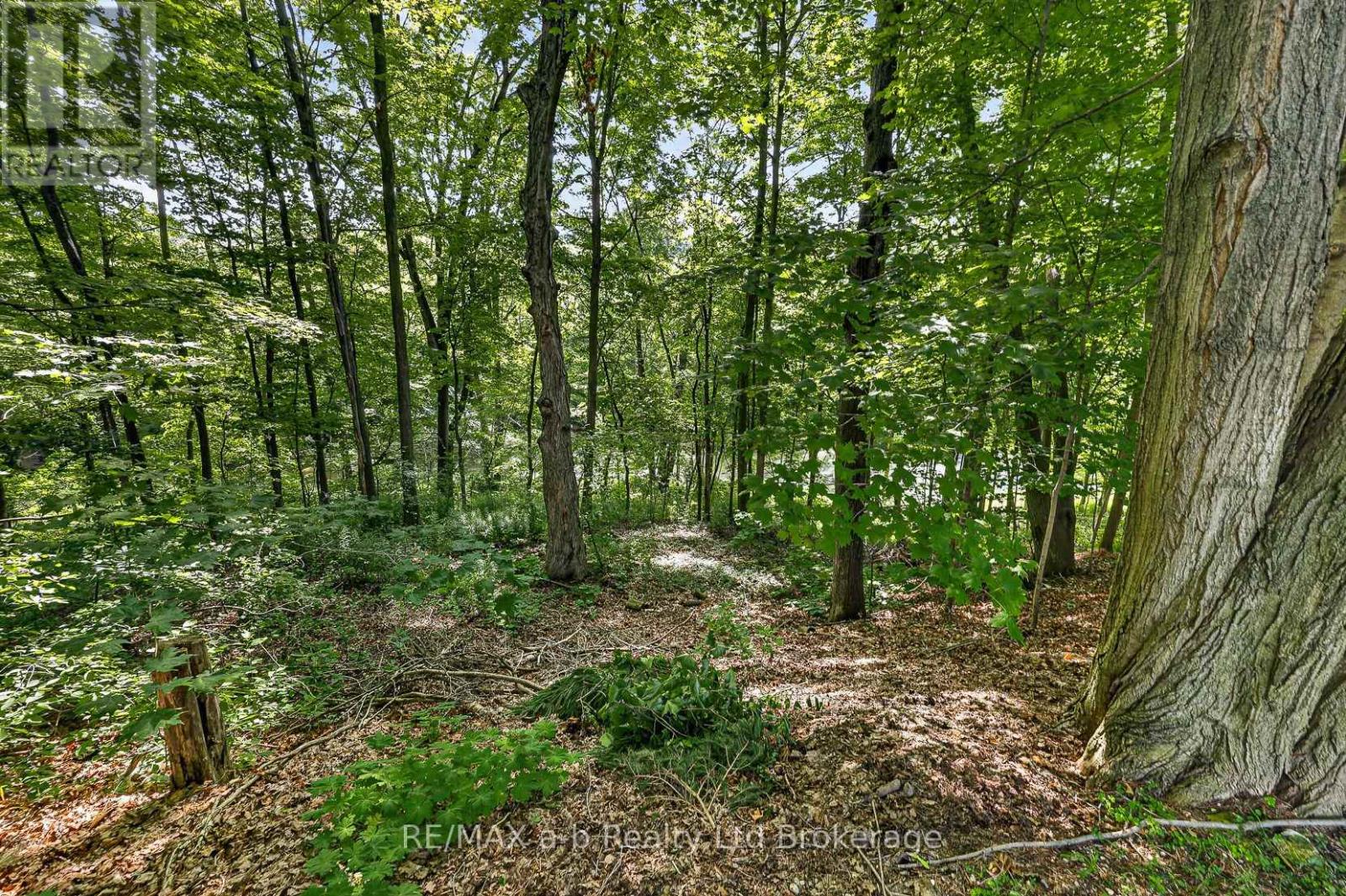61 PARKWOOD DRIVE - 12