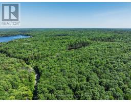 0 Kushog Lake Road, Algonquin Highlands, ON K0M1S0 Photo 10