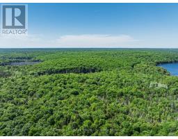 0 Kushog Lake Road, Algonquin Highlands, ON K0M1S0 Photo 13