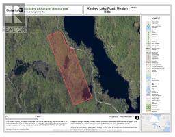 0 Kushog Lake Road, Algonquin Highlands, ON K0M1S0 Photo 24