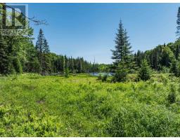 0 Kushog Lake Road, Algonquin Highlands, ON K0M1S0 Photo 7