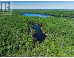 0 Kushog Lake Road, Algonquin Highlands, ON K0M1S0 Photo 8