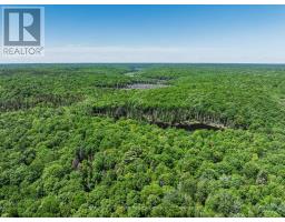 0 Kushog Lake Road, Algonquin Highlands, ON K0M1S0 Photo 9