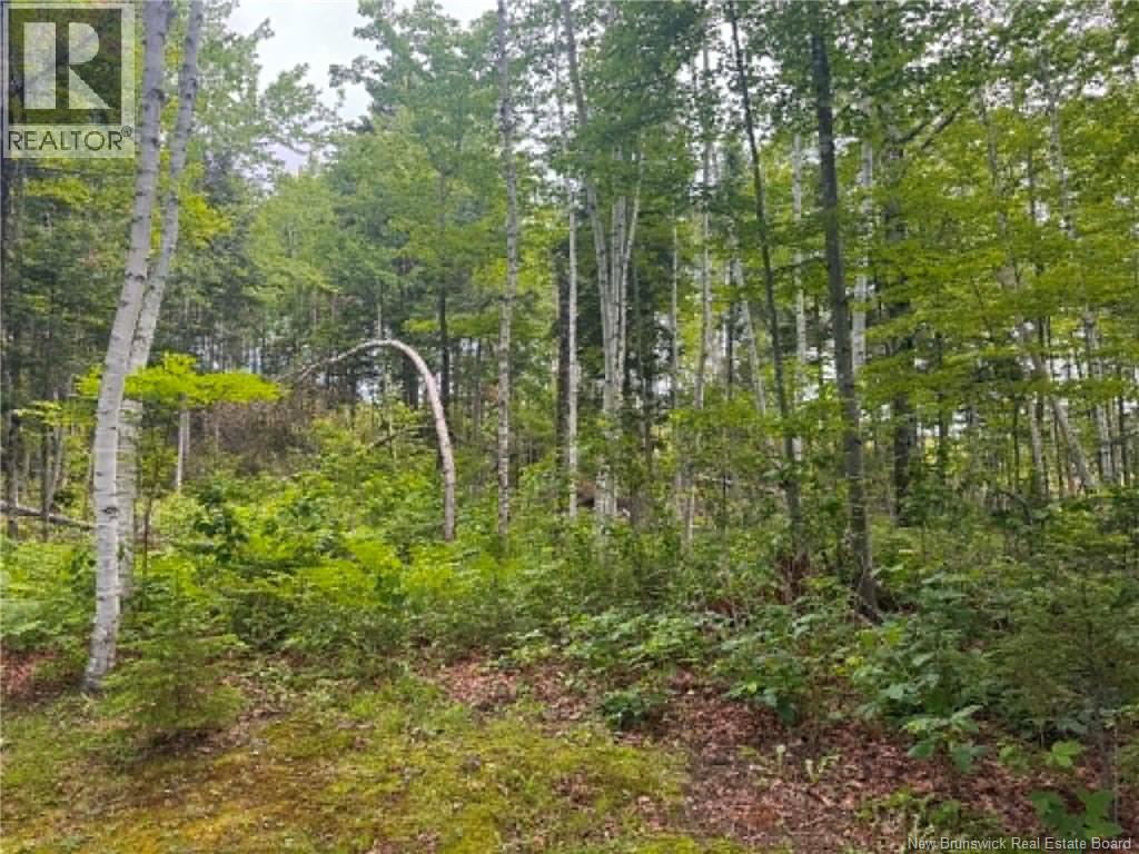 10 Cross Road - Image 6