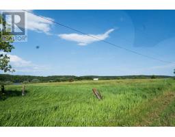 358 Faught Road, Whitewater Region, ON K0J1K0 Photo 6